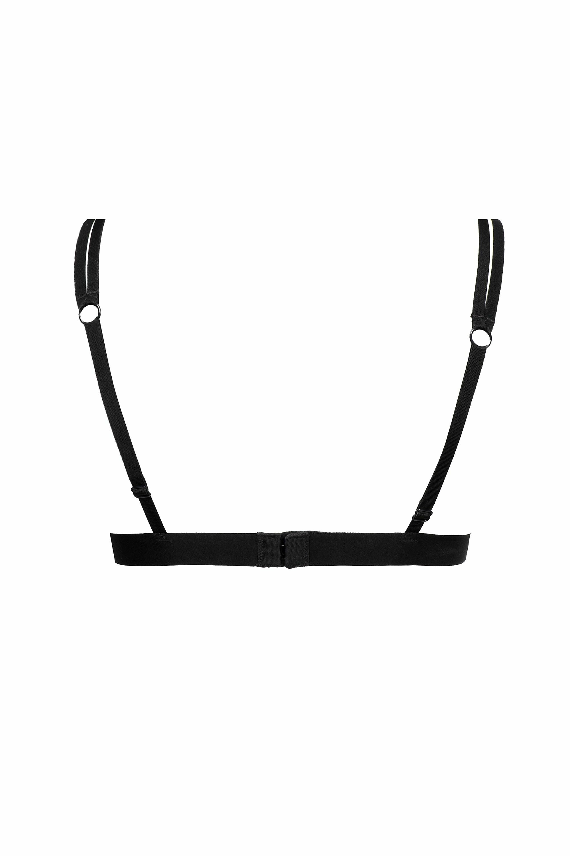 Triangle Oiseau de Paradis